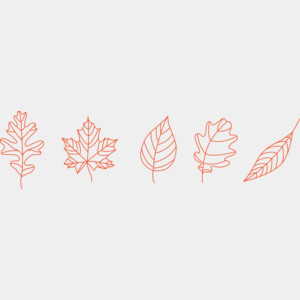 Leaf Lines Thumbnail